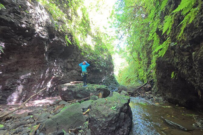 Bali Canyoning Trip Explore Hidden Waterfalls & Gorges - Authentic Experiences and What Travelers Say