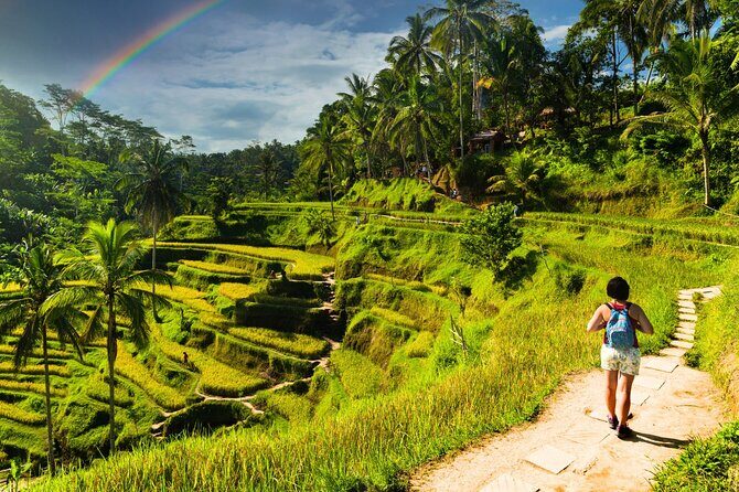 Bali Cultural Experience - Practical Details & What to Expect