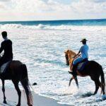 Bali Horse Riding Trot & Canter Saba Beach with Local Temple - What the Tour Includes and How It Works