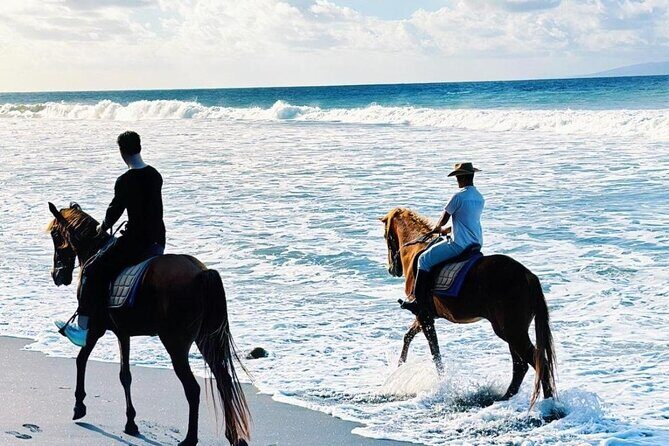 Bali Horse Riding Trot & Canter Saba Beach with Local Temple - What the Tour Includes and How It Works