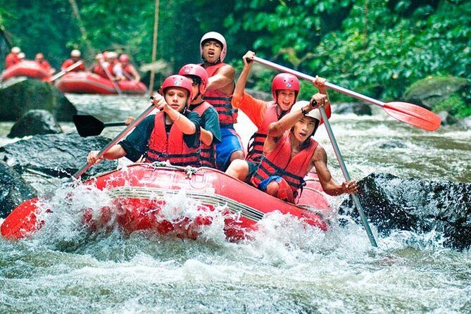 Bali Jungle Swing and White Water Rafting All Inclusive - What’s Included and What to Consider