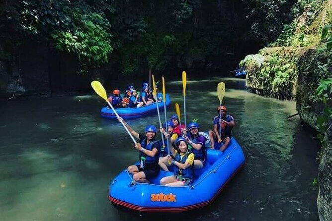Bali Jungle White Water Rafting Adventure - Who Will Love This Tour?