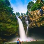 Bali Night Market Experience and Ubud Highlights tour - What Makes This Tour Stand Out?