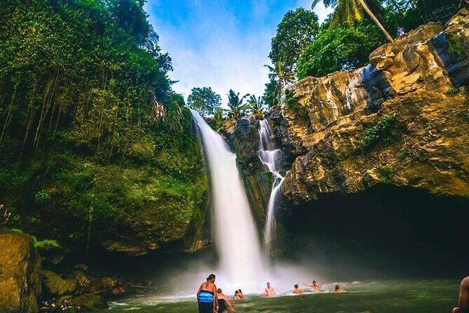 Bali Night Market Experience and Ubud Highlights tour - What Makes This Tour Stand Out?