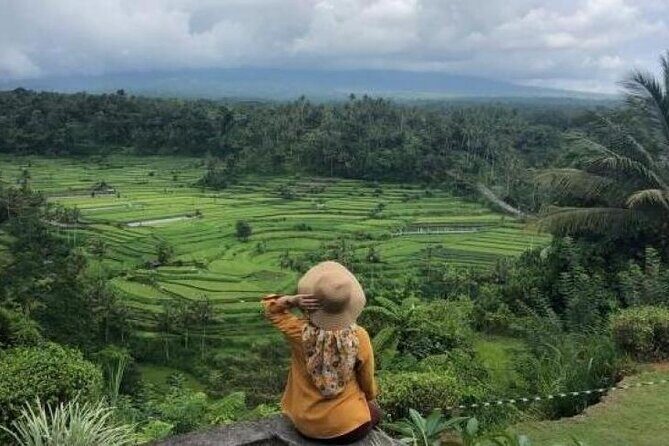 Bali Private Driver For Tour in Bali - Practical Considerations: Value, Comfort, and Flexibility