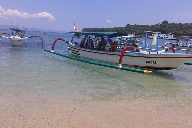Bali Snorkeling Blue Lagoon 2 spot with Lunch & Transport - Why This Tour Works