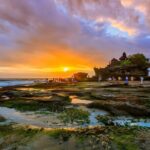 Bali Tour: The Best Way to Explore The Highlight of Bali - Who Is This Tour Best For?