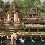 Bali Volcano & Ubud Day Tour  Temples, Rice Terraces & Lunch - The Tegalalang Rice Terraces: A Visual Feast