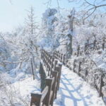 Balwangsan Cable Car & Samyang Ranch One Day Tour - The Practicalities: What’s Included and What to Keep in Mind