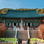 Balwangsan Day Tour: Forest Trails & Scenic Highland Views - Lunch: A Well-Deserved Rest