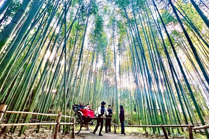 Bamboo Grove Temple and Garden Views Tour - Practical Details and Value