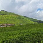 Bandung Crater Adventure Hotspring and Mud Bath - What Makes This Tour Special?