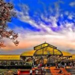 Bangalore: City Highlights Guided Tour - Exploring Lalbagh Botanical Garden