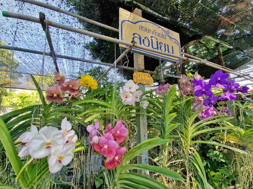 Bangkok Canals Hop-On Hop-Off Boat Tour - Authentic Experiences and Traveler Insights