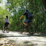 Bangkok Green Oasis Nature Bike Tour - Practical Tips for Travelers