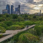 Bangkok: Private Tour with a Local Guide - Authenticity and Value