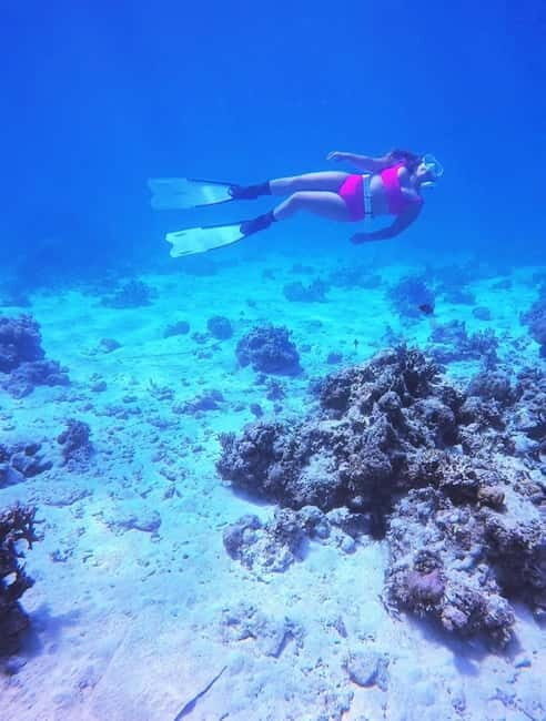 Bantayan Island: Fundive Freediving Excursion - The Sum Up