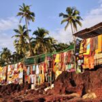 Beautiful Goa Beach Tour - Final Thoughts: Who Is This Tour Best For?