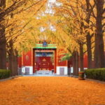 Beijing: Yonghe Lama Temple Tickets with guide (optional) - What Makes the Yonghe Lama Temple Special