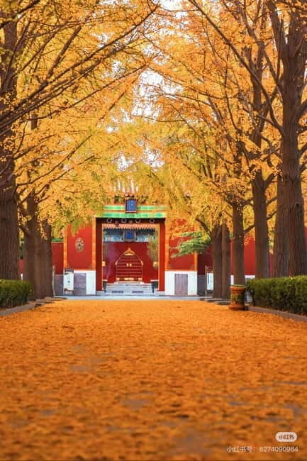 Beijing: Yonghe Lama Temple Tickets with guide (optional) - What Makes the Yonghe Lama Temple Special