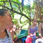 Bentota River Safari with Mangrove and Wildlife Encounter - The Scenic Marvels: Mangroves and the Delta