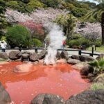 Beppu Kannawa Highlights Tour - Who Will Love This Tour?