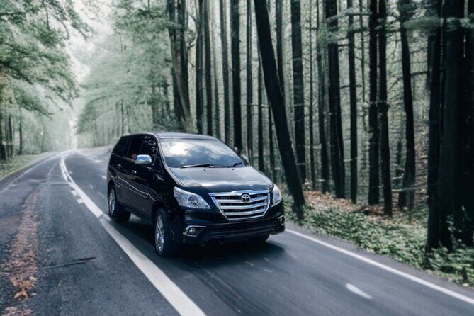 Best Day Tour - #1 Ubud Top Attraction - What’s Included and What to Expect