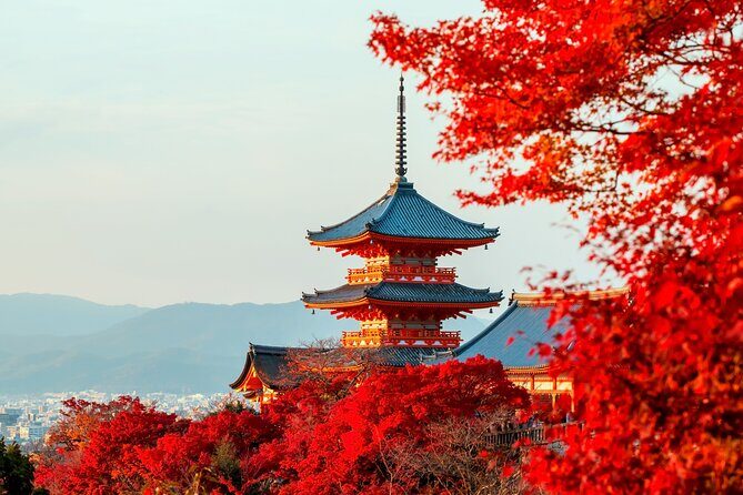 Best of Kyoto and Nara Highlights Day Tour from Osaka (7~9 spots) - FAQ