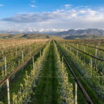 Big Almaty Lake and Legendary Almaty Apple Orchard - FAQ