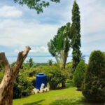 Biliran: Tinago Falls, Farm Tour & Tomalistis Falls Day Trip - A Closer Look at the Biliran Day Trip