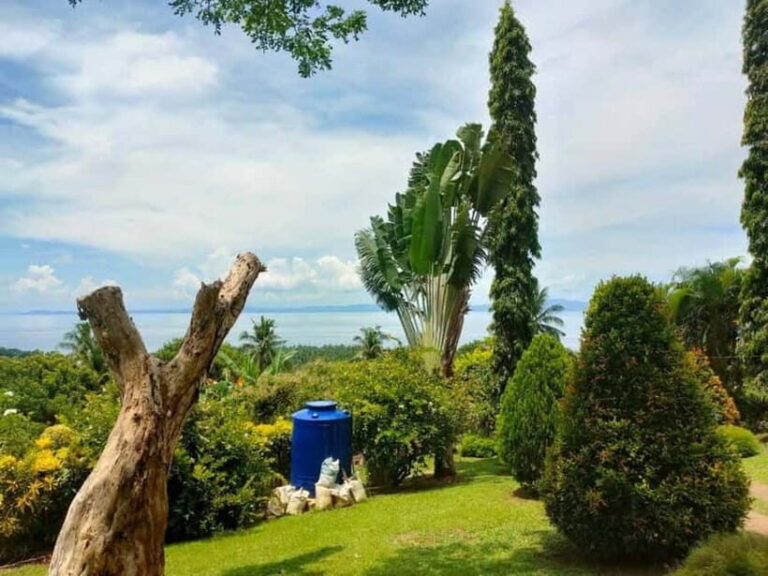 Biliran: Tinago Falls, Farm Tour & Tomalistis Falls Day Trip - A Closer Look at the Biliran Day Trip