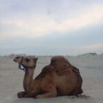 Bintan Desert And Blue Lake Private Tour - The Value of the Experience