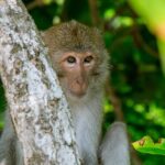 Bioluminescent Plankton Kayak Boat Tour - Practical Details and Value