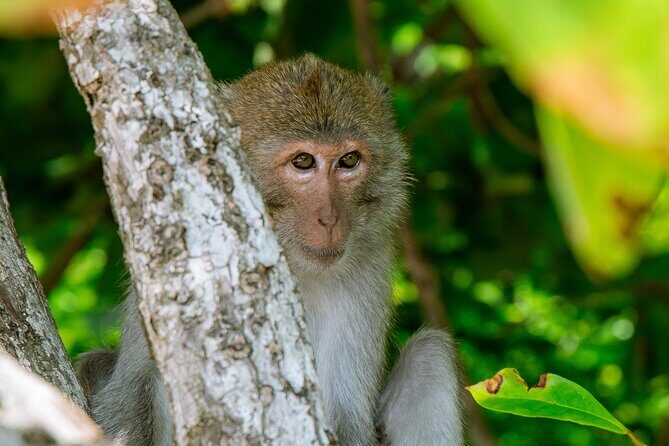 Bioluminescent Plankton Kayak Boat Tour - Practical Details and Value