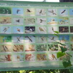 Bird Watching Tours in Samarkand - Exploring the Itinerary in Detail