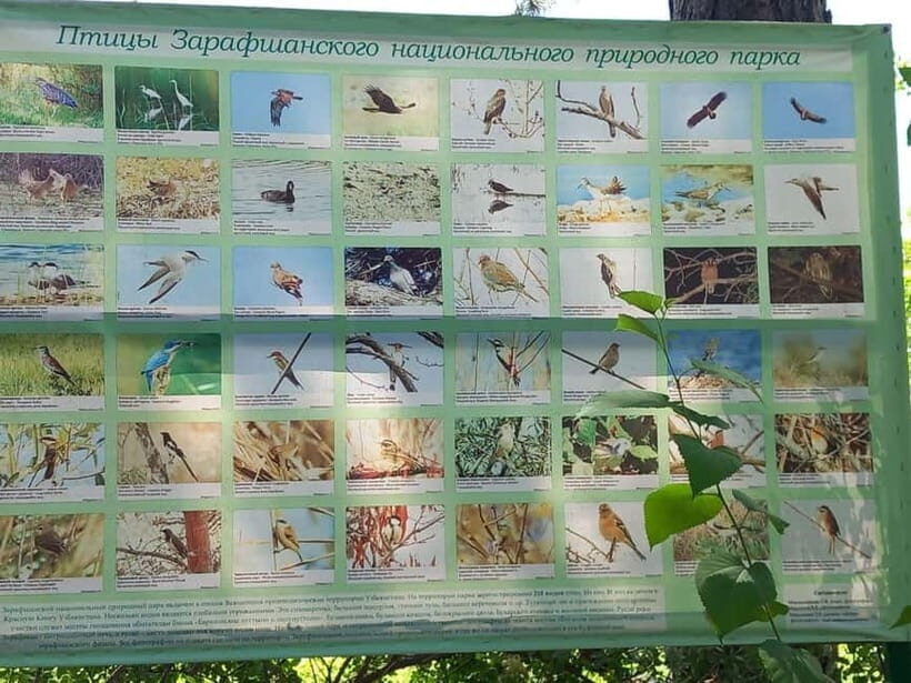 Bird Watching Tours in Samarkand - Exploring the Itinerary in Detail