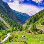 Bishkek: 5-Day Tour in Kyrgyzstan with Meals and Transfers - What Makes This Tour Stand Out?