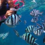 Blue Cave Private Snorkeling with Photoshoot - Snorkeling Experience: What to Expect