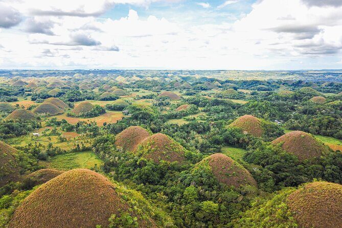 Bohol Countryside Tour: Chocolate Hills, Tarsier and Loboc River - Authentic Experiences and Tips from Travelers