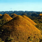 Bohol Day Tour From Cebu City or Mactan (Private Tour) - The Experience of the Tour: What Travelers Are Saying