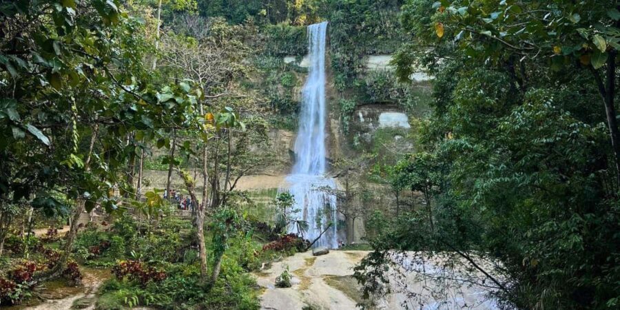 Bohol Private Tour Anda, Candijay & Alicia Panoramic Park - Authenticity & Value: What Makes This Tour Stand Out?