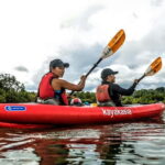 Bohol: SUSTAINABLE Mangrove Tunnels & Firefly Kayaking trail - Who Will Love This Tour?