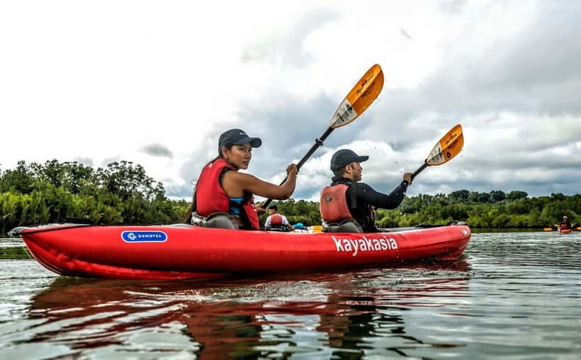 Bohol: SUSTAINABLE Mangrove Tunnels & Firefly Kayaking trail - Who Will Love This Tour?