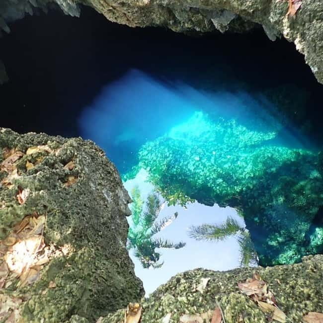 Bohol Waterfalls Tour with Lunch - Detailed Review of the Bohol Waterfalls Tour