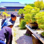 Bonsai Tour & Experience at the Most Sacred Bonsai's City - The Overall Value of the Tour