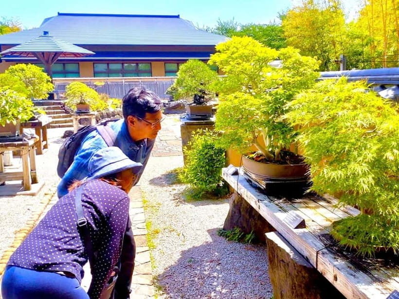 Bonsai Tour & Experience at the Most Sacred Bonsai's City - The Overall Value of the Tour