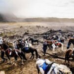 Bromo Adventure - The Value of This Tour