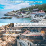 Busan: Full-Day Tour Unmissable things to do in Busan - Practical Details and Tips