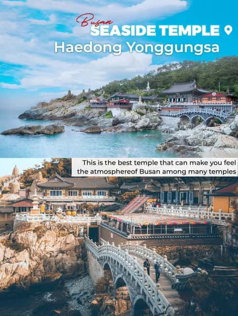 Busan: Full-Day Tour Unmissable things to do in Busan - Practical Details and Tips