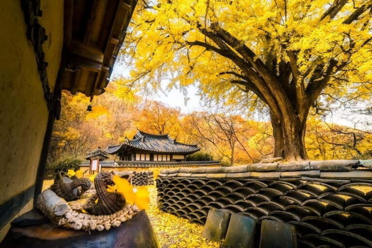 Busan: Gyeongju Autumn Foliage Day Tour with Historic Sites - Final Thoughts: Is This Tour Right for You?